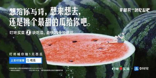 娱乐吃瓜文案怎么弄,吃瓜群众背后的故事